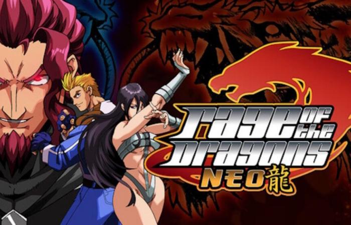 Prueba – Rage of the dragons NEO: el arte del combate en equipo