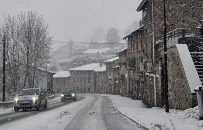 Informe meteorológico. Se espera nieve en las próximas horas en el Loira y el Alto Loira