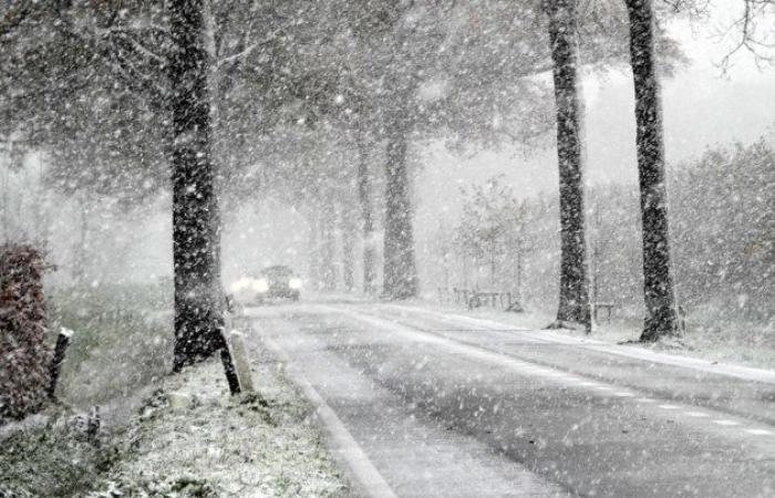 La primera nevada deja una alfombra blanca en Limburgo: código amarillo para condiciones resbaladizas esta noche y esta noche durante la primera inyección invernal