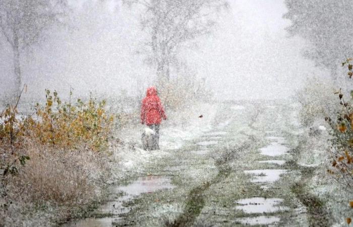 La primera nevada produce una alfombra blanca: código amarillo para condiciones resbaladizas esta noche y esta noche durante la primera inyección invernal en Flandes