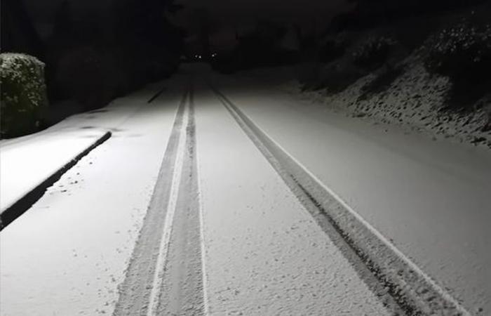 INFORME DEL TIEMPO. La nieve lanza una ofensiva blanca desde Doubs hasta Jura, ¿qué nos espera en los próximos días?