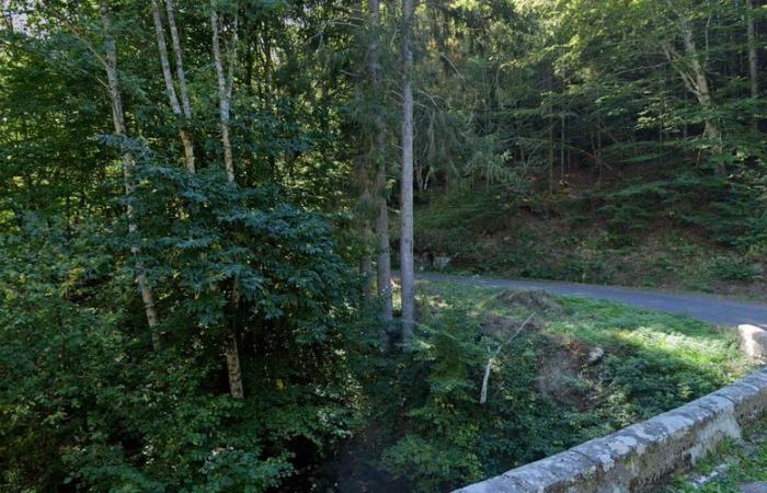 Desaparición de Yann Escande en el Tarn: un coche y un cuerpo carbonizado encontrados en un bosque