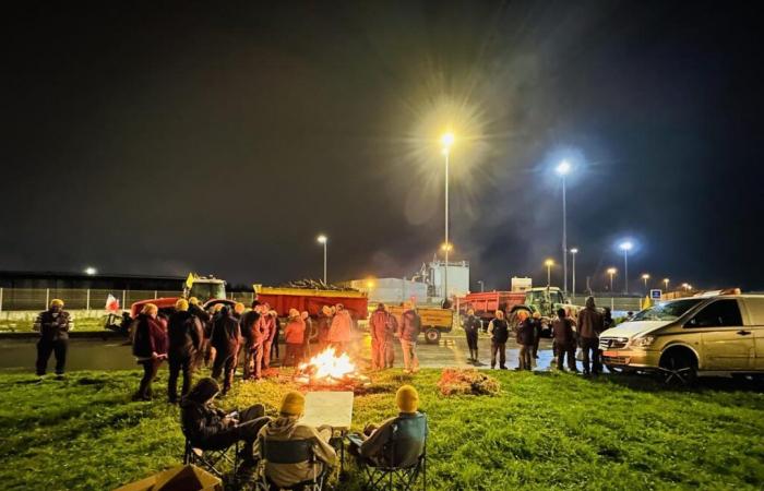 Los tractores han llegado a Burdeos y ocupan el puerto de Bassens, revive la jornada de este miércoles.