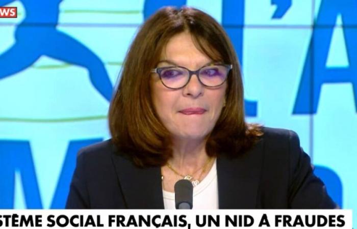 ¿A qué corresponden los 850 mil millones de euros en prestaciones sociales en Francia, denunciados por el medio Bolloré? – Liberación