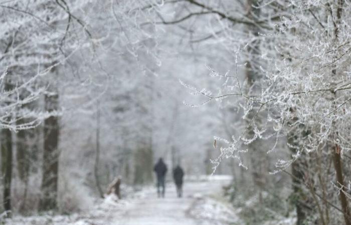 La nueva llegada del invierno provoca nuevas nevadas en esta zona