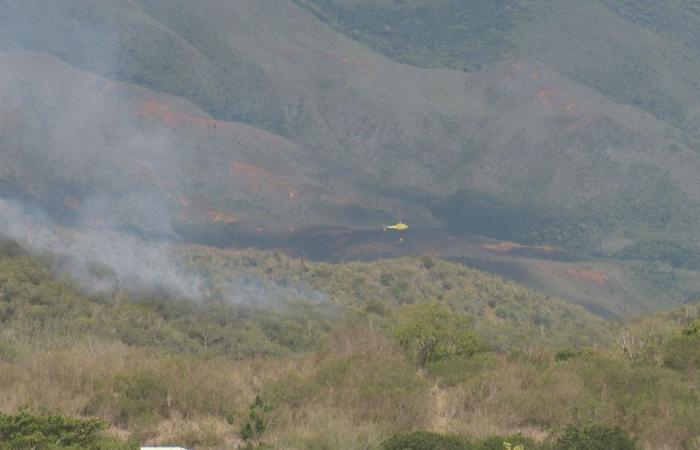 Incendio en Dumbéa, cerca del parque Fayard, unas quince hectáreas quemadas