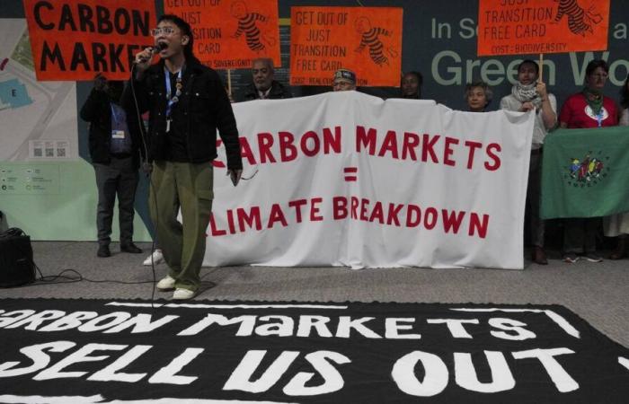 En la COP29, se están reformando los mercados de carbono. ¿Para mejor?