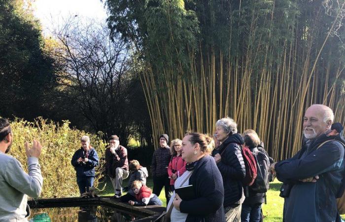 Hermoso día de encuentro en torno a las aves de Ariège en el Parc aux Bambous