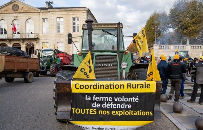 Tercer día de manifestación agraria, con las elecciones en las cámaras agrarias como telón de fondo