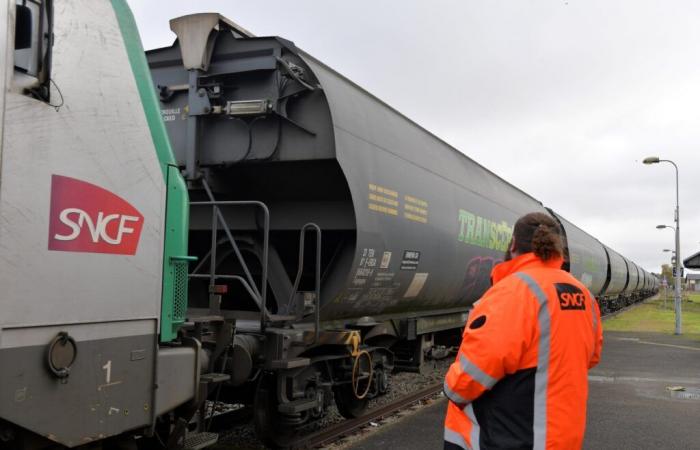 El movimiento para Fret SNCF fue moderadamente seguido en todo el grupo.