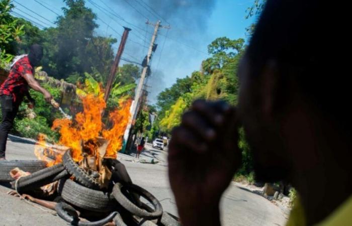 Haití: 28 pandilleros asesinados por la policía y residentes de Puerto Príncipe: Noticias