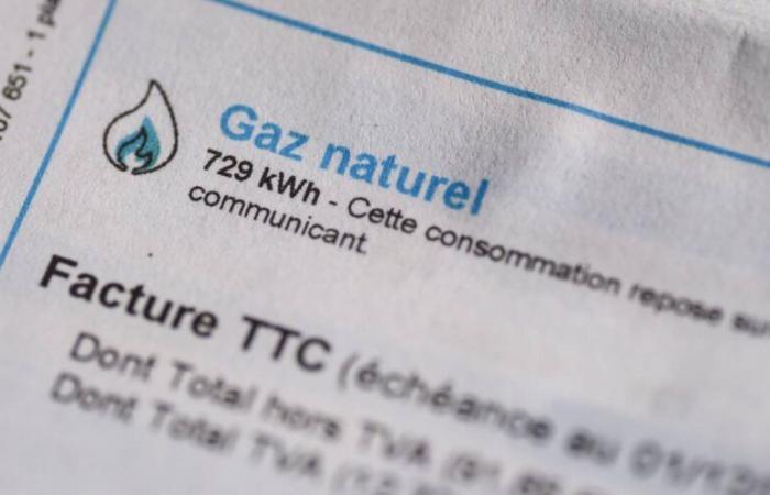 Bercy no está entusiasmado con el aumento de los impuestos sobre el gas aprobado por el Senado