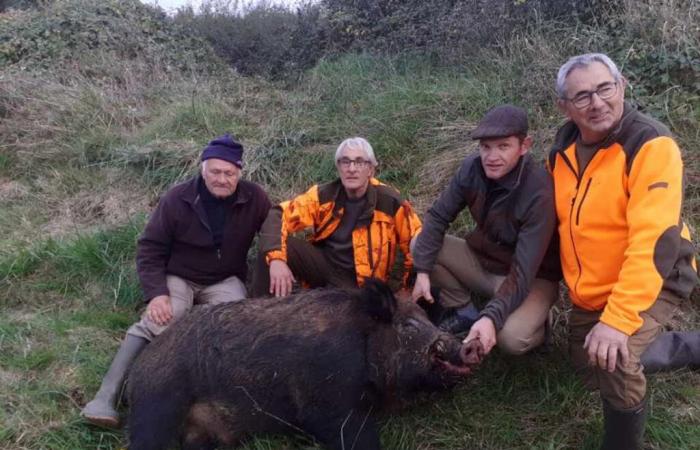 Un jabalí de 205 kilos en Charente Maritime