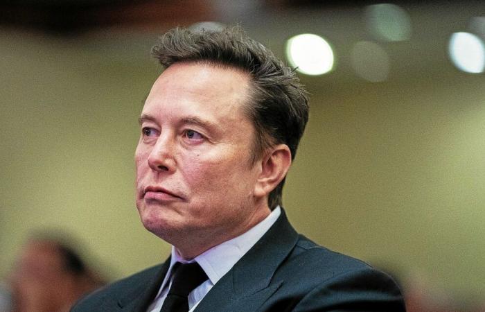 Estados Unidos: ¿puede durar el idilio entre Elon Musk y Donald Trump?