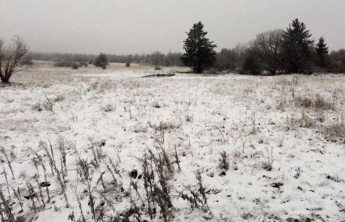 La nieve ha vuelto a Bélgica: aquí las primeras imágenes en Hautes-Fagnes