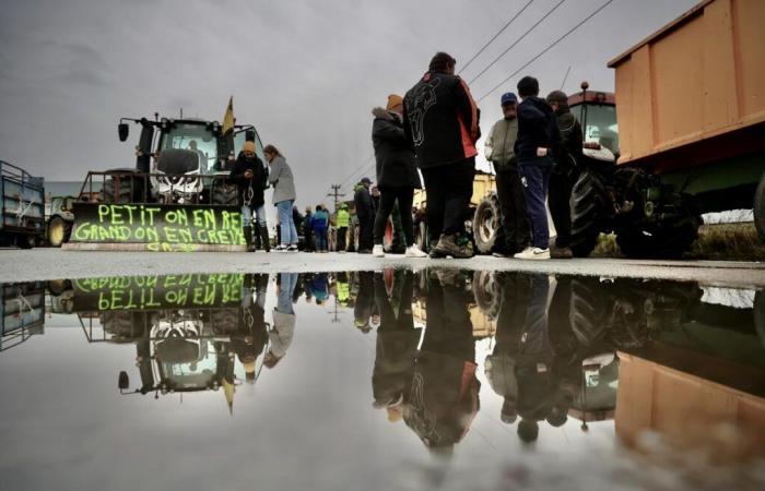 Ira de los agricultores. En Gironda, los “gorros amarillos” asedian el puerto de Burdeos y una central de compras