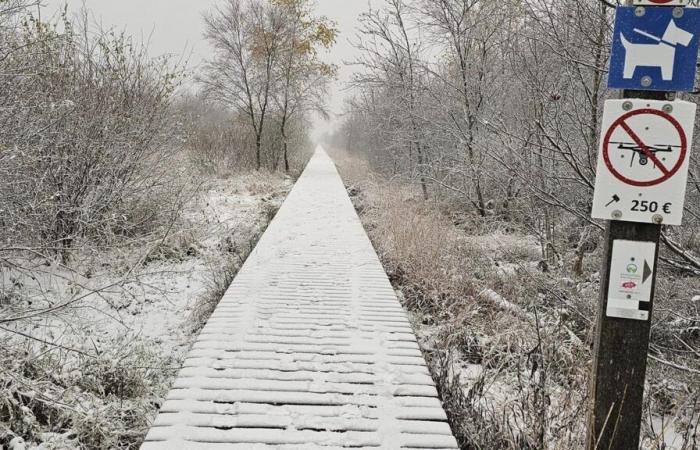 El tiempo en Bélgica: la nieve volvió este miércoles y caerá abundantemente en algunos lugares esta tarde y noche