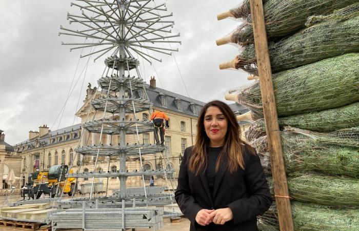 chalets con entramado de madera, 361 abetos… El mercado de Navidad de Dijon revela sus contornos