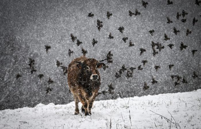 El invierno llega a Francia a principios de temporada.