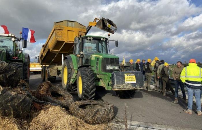 Ira de los agricultores: la Coordinación Rural de Côte-d’Or planea “bloquear el Parlamento Europeo” el lunes