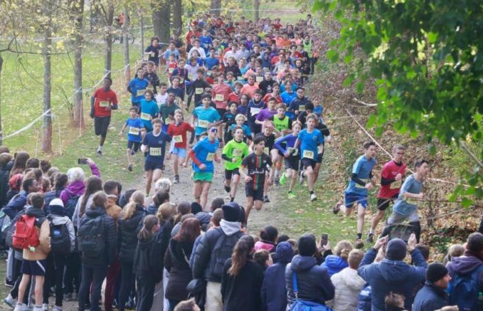 Descubra los resultados de los campeonatos escolares de cross del Marne