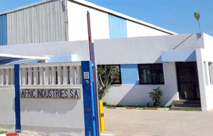 Afric Industries: Las ventas disminuyen en el tercer trimestre a pesar del aumento anual acumulado