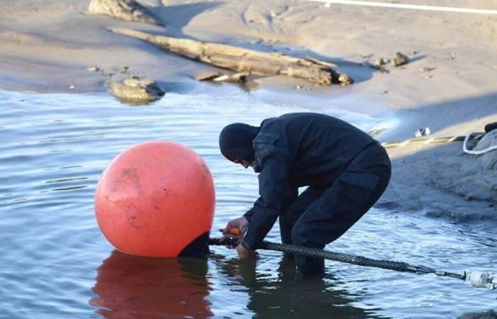 Cables dañados en el Mar Báltico: el Kremlin considera “risible” acusar a Rusia