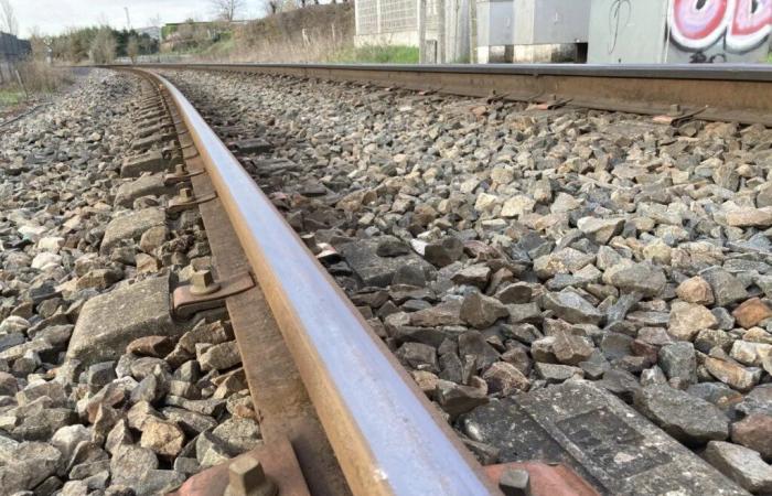 Cantal: los ferroviarios se movilizaron contra la apertura a la competencia