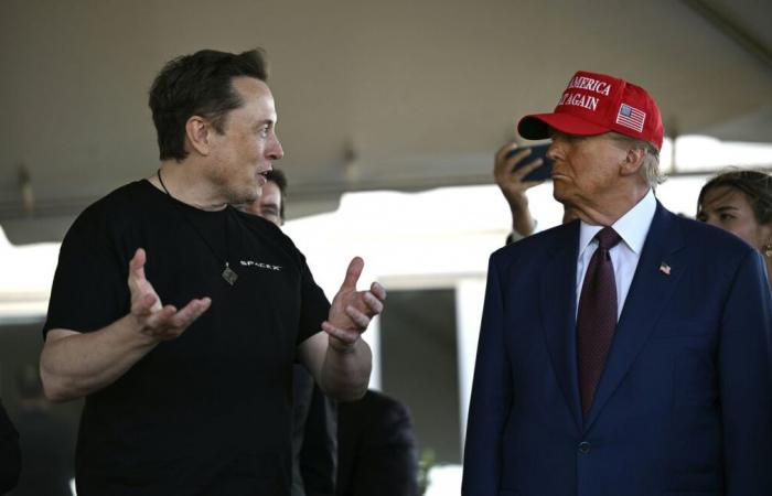 En nombre de la eficiencia gubernamental, Elon Musk ataca el teletrabajo de los funcionarios estadounidenses