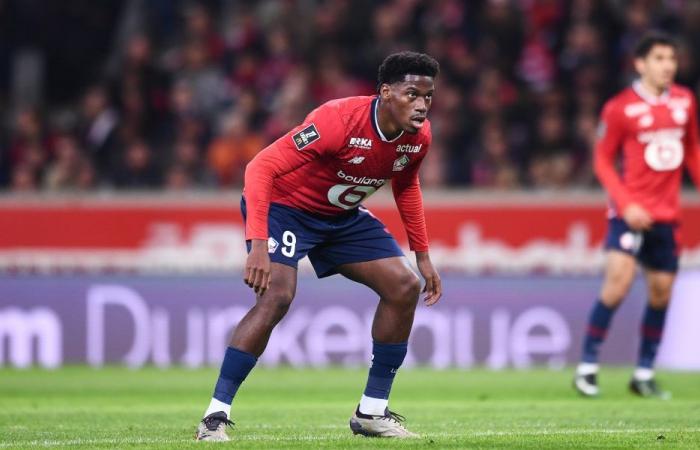 LOSC Mercato: ¡Jonathan David no quiere irse este invierno!