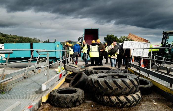 Agricultores enojados – Fin del bloqueo de camiones en la frontera franco-española: “Si los otros sindicatos agrícolas hubieran venido a reemplazarnos, podríamos haber continuado mucho más tiempo”