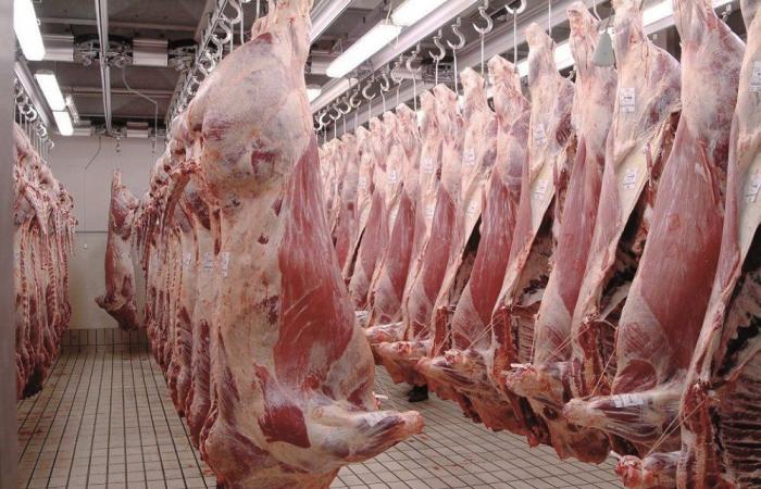 Los precios de la carne de ovino vuelven a subir en los mataderos de Casablanca