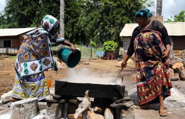 brechas muy marcadas en las tasas de empleo entre mujeres y hombres en Mayotte y Guyana