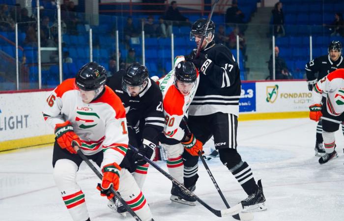 Los Pats pierden 2-1 ante los Ravens • Néo UQTR