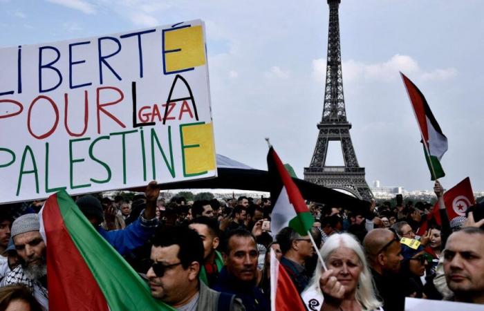 Un grupo de amistad franco-palestino creado en la Asamblea Nacional