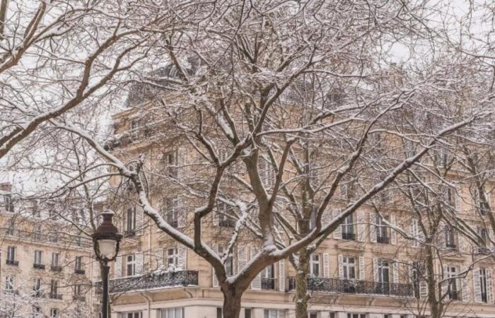 Nieve en Île-de-France este jueves: que esperar