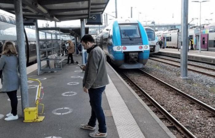 Charente-Maritime: huelga en la SNCF este jueves contra la privatización del transporte de mercancías y del TER