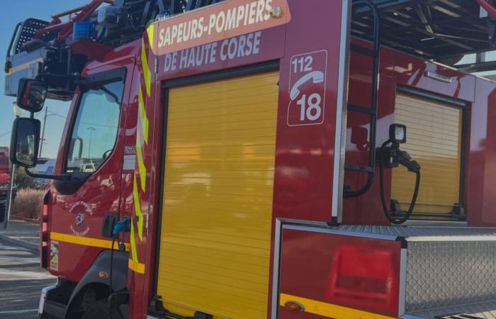 Avivado por el viento, un incendio arrasa 20 hectáreas