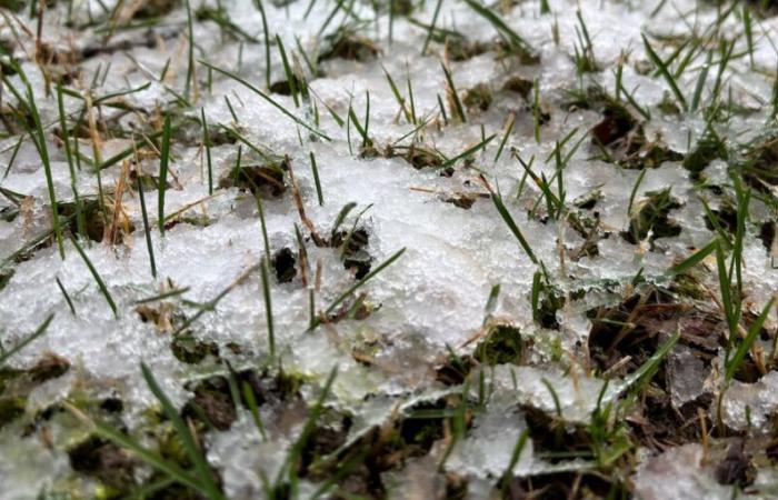 Se acerca la nieve. Aquí está cuánto y cuándo