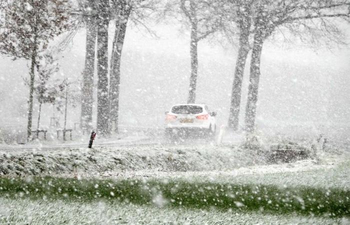 La primera nevada produce una alfombra blanca: código amarillo para condiciones resbaladizas esta noche y esta noche durante la primera inyección invernal en Flandes