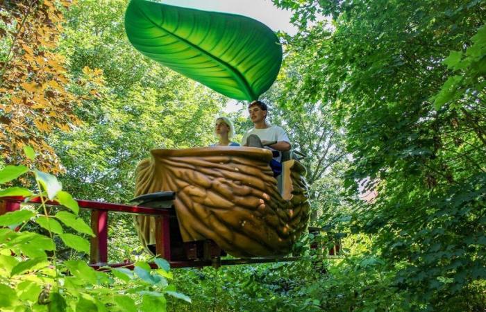 Maine y Loira. El operador privado Lopping se hace cargo de Terra Botanica