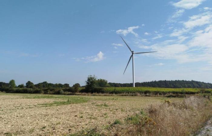 Para aumentar la aceptación de las turbinas eólicas, un proveedor de energía ofrece una reducción a los vecinos