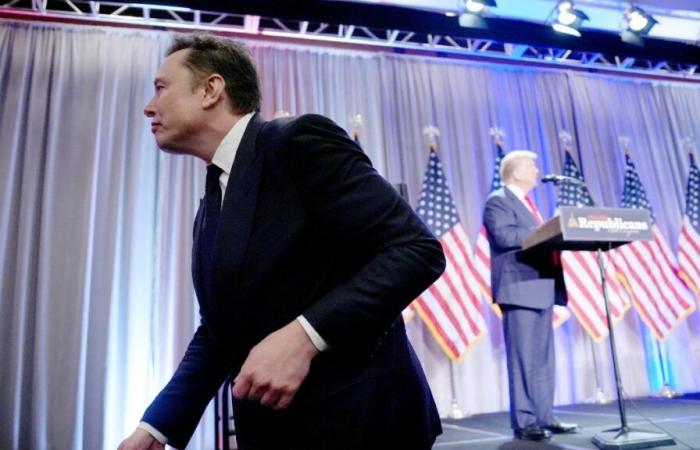 Donald Trump y Elon Musk, o “Dos tontos muy tontos” en la Casa Blanca