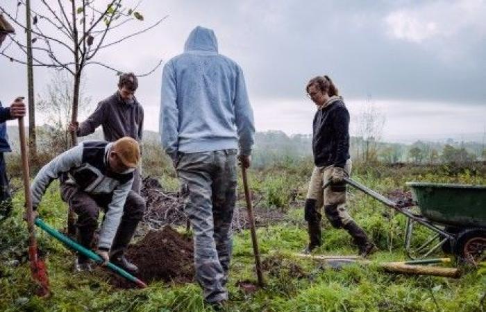 la reforma RSA debilita a los agricultores