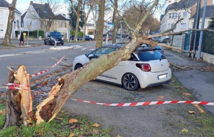 La tormenta Caetano causa daños en Saint-Nazaire y Loira Atlántico