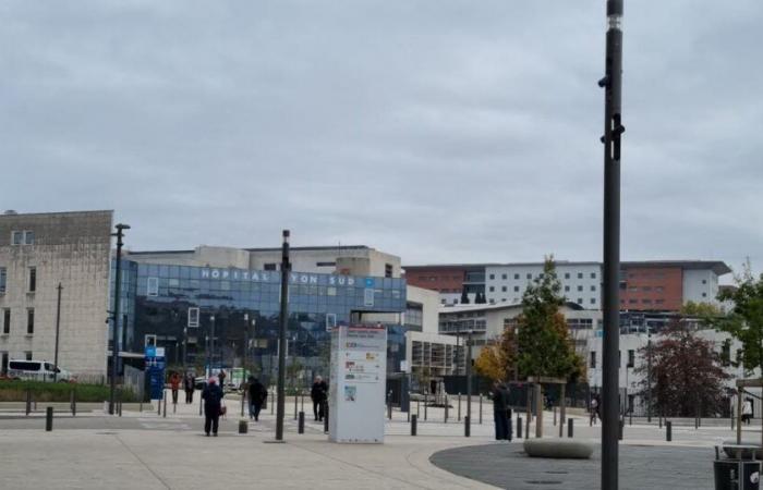 Metrópolis de Lyon. ¿Veremos un descenso cerca de la estación de metro Saint-Genis/Hôpital Lyon Sud?