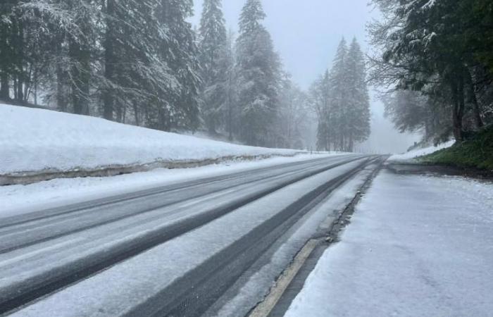 Cantón de Uri – Las fuertes nevadas provocan retrasos en el tráfico en la A2