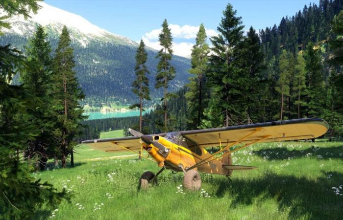 Los animales de Microsoft Flight Simulator 2024 en realidad provienen de otro juego | xbox