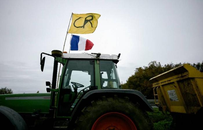 En el tercer día de movilización campesina, varios bloqueos y un llamado a continuar la próxima semana