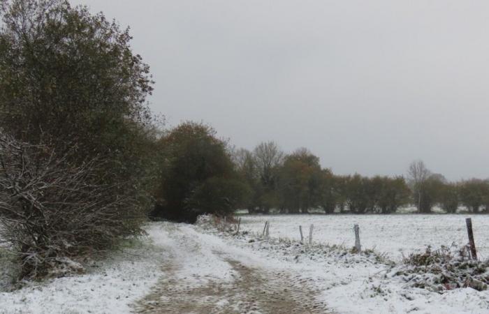 EN FOTOS. En Côtes-d’Armor, varios centímetros de nieve cubrieron el campo